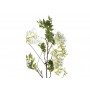 Цветок гороха Виктория белый (малый) 7A40N00002