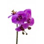 Орхидея сиреневая в горшке 29BJ-JF207