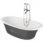 Чугунная ванна Roca Newcast Grey 170x85