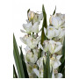 Орхидея Cymbidium искусствнная белая в горшке